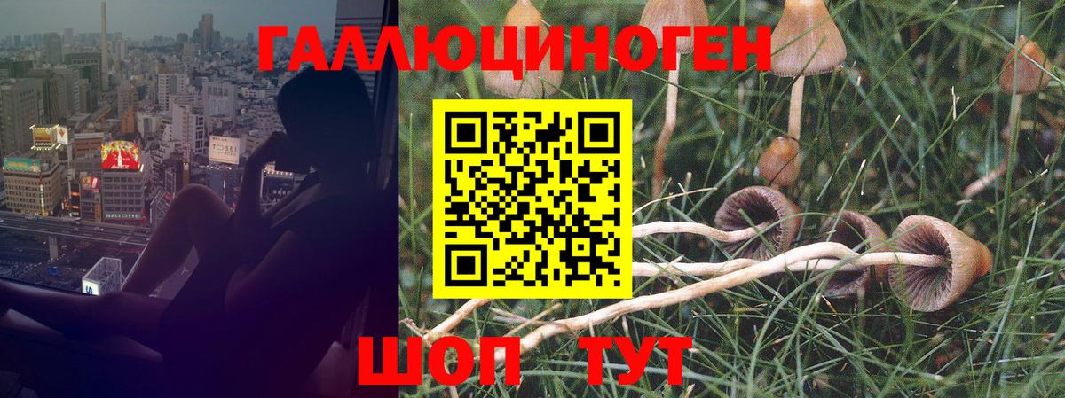 Псилоцибиновые грибы Psilocybine cubensis  Вход с VPN  Галлюциногенные грибы Psilocybe  закладки  Калининград 